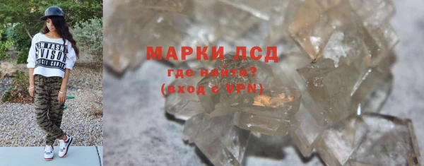 прущие грибы Покровск