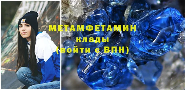 прущие грибы Покровск