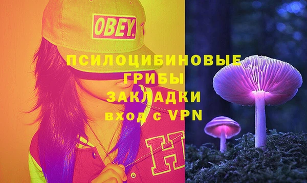 прущие грибы Покровск