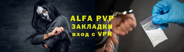 прущие грибы Покровск