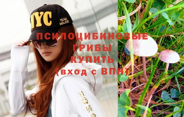 дурь Покачи