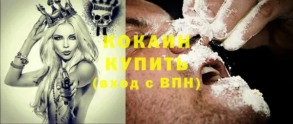 дурь Покачи