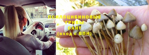 прущие грибы Покровск