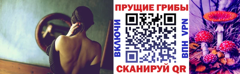 где можно купить   Покров  Псилоцибиновые грибы Magic Shrooms 
